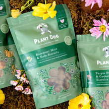 Plant Dog rosemary mint kelp dog treats packaging shown with baked biscuits and botanical elements