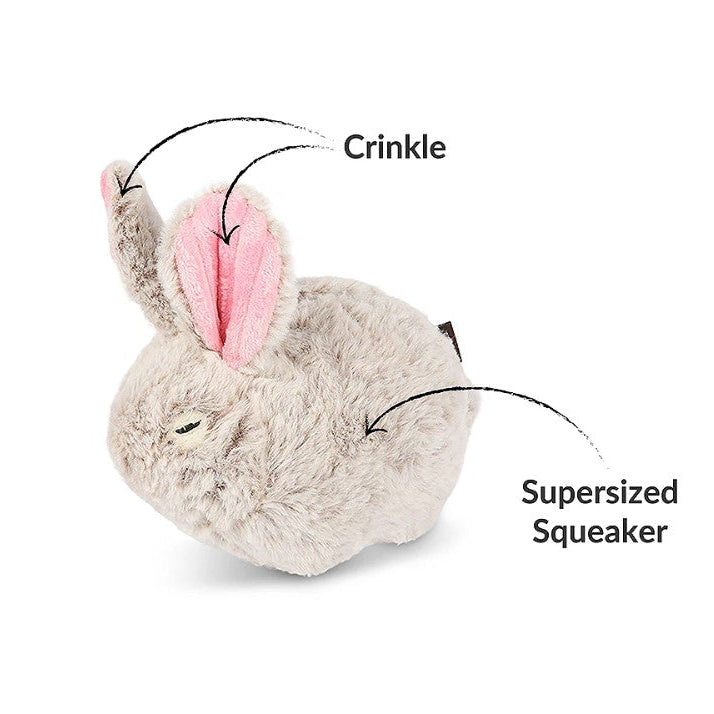 Close-up of Baxter the Bunny plush dog toy highlighting the oversized squeaker and crinkly ears for added sound and texture.