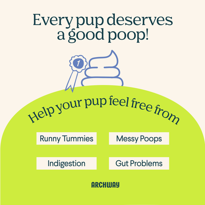 Archway graphic highlighting prebiotics, probiotics, and fiber in Digestive Health dog treats