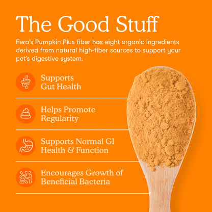 Pumpkin fiber supplement for dogs showing digestive and gut health benefits