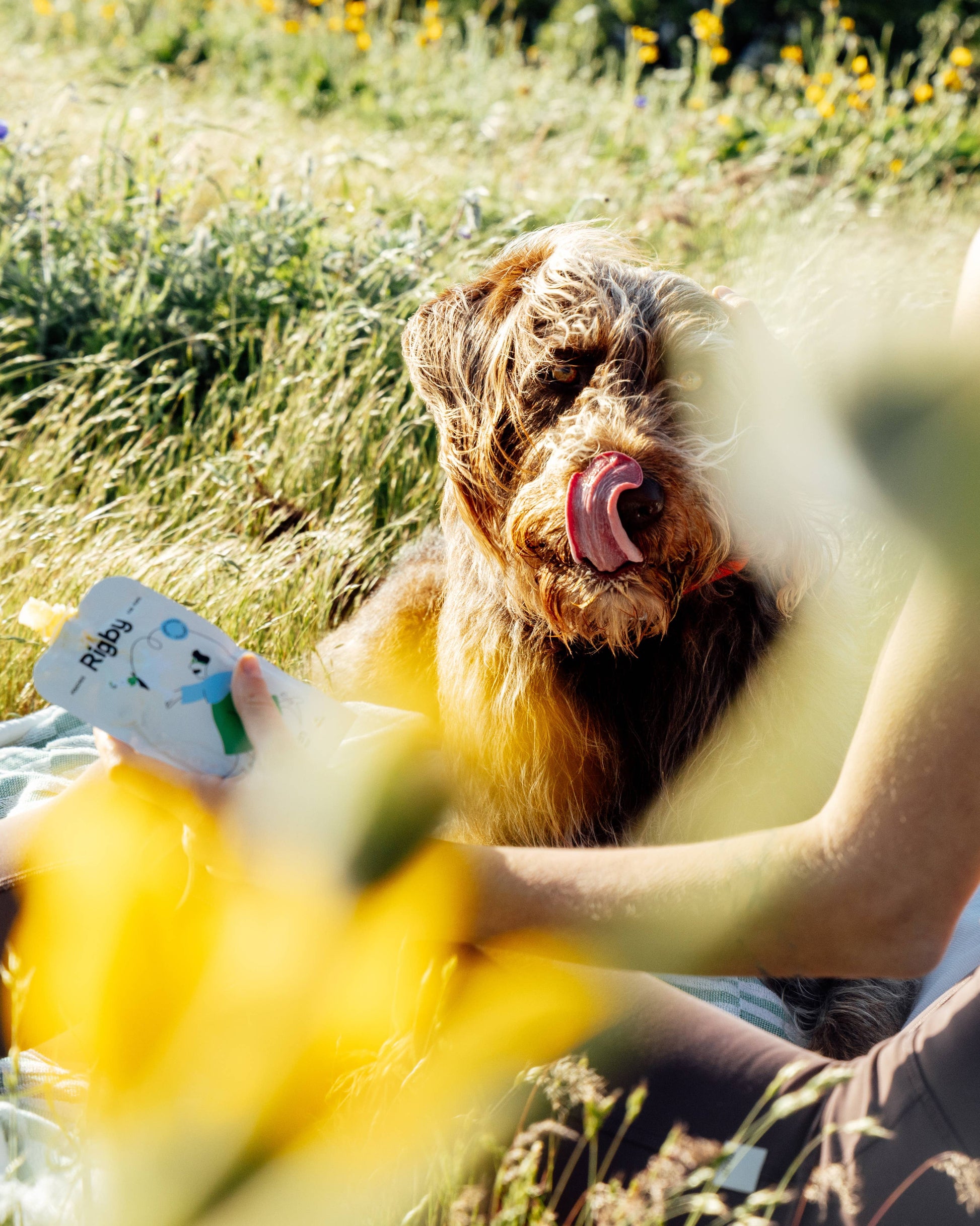 Dog outdoors with chicken squeeze dog treats used for enrichment and rewarding