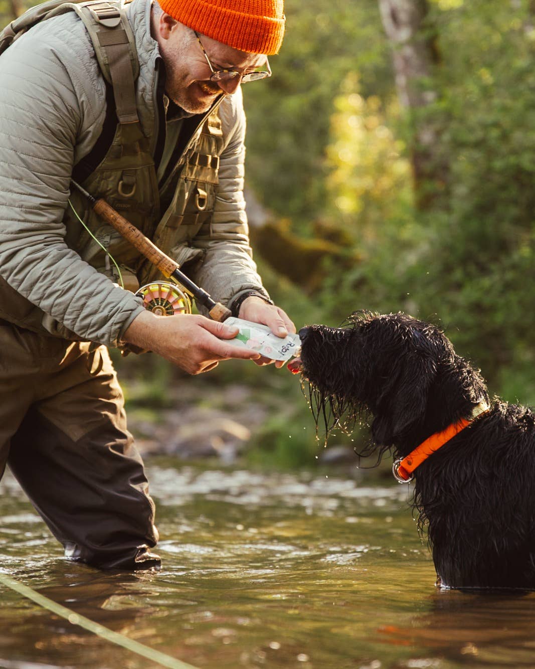 Dog receiving salmon squeeze dog treats during outdoor training and rewarding