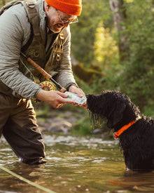 Dog receiving salmon squeeze dog treats during outdoor training and rewarding