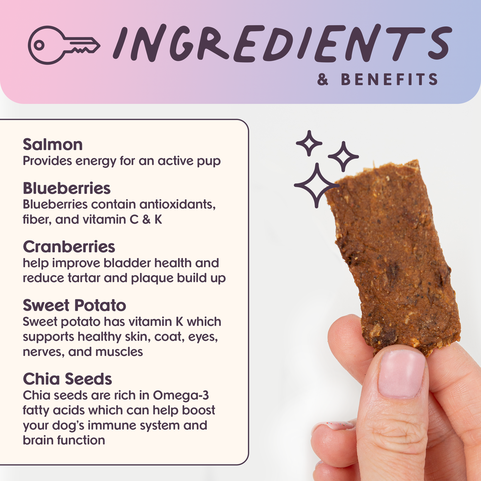 Ingredients for wild-caught salmon superfood jerky dog treats