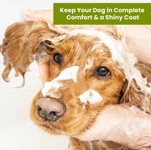 Dog being bathed with Olive Oil sensitive skin dog shampoo and conditioner