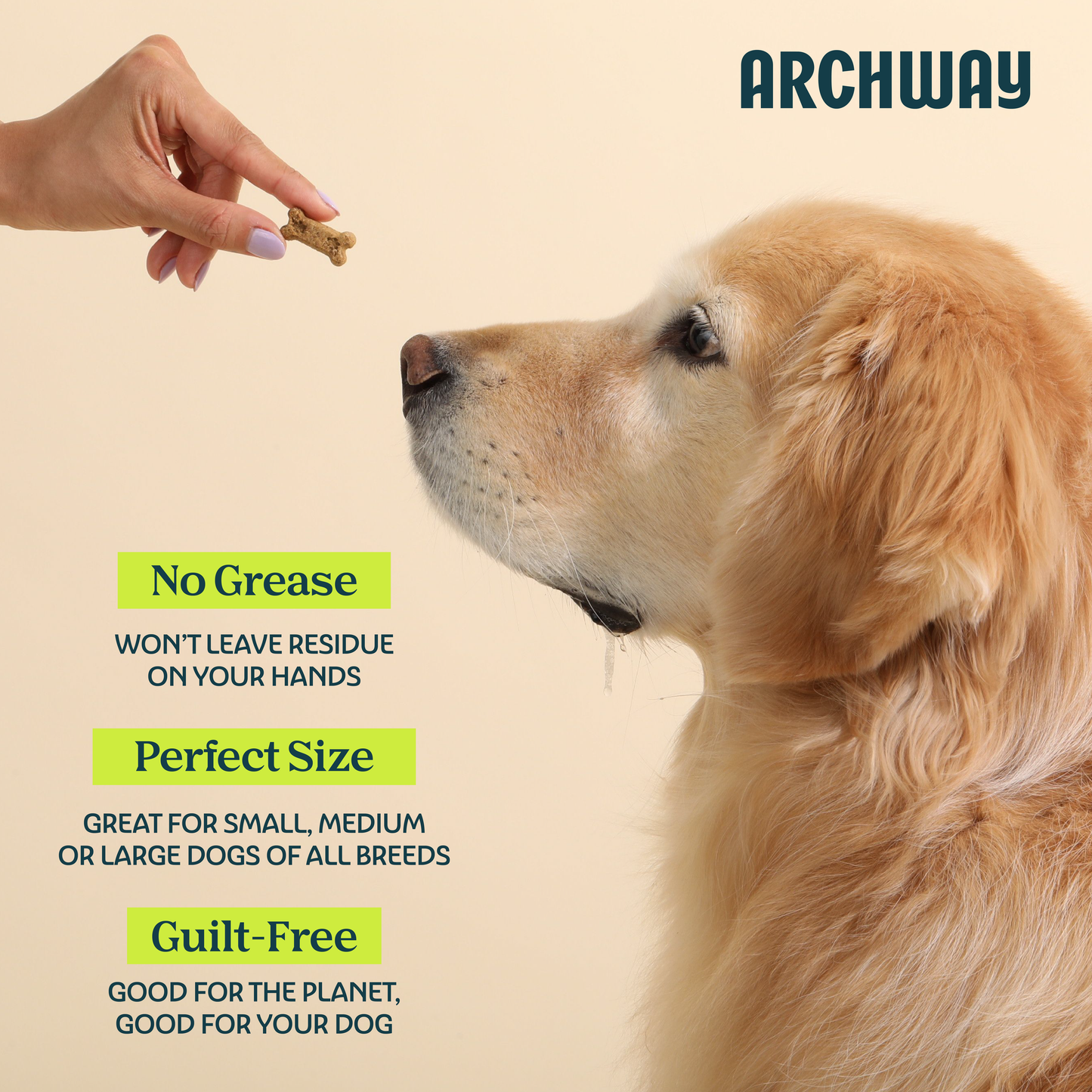 Dog alongside key features highlighting the benefits of Archway Silver Carp & Sweet Potato dog treats.