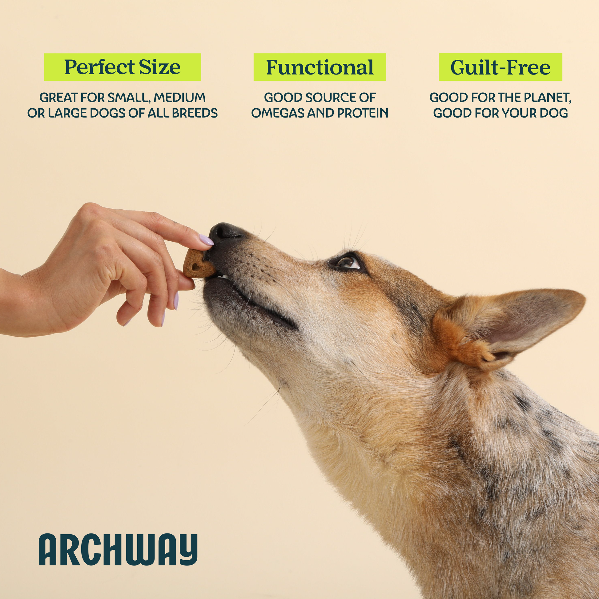 Dog being rewarded with a Skin & Coat Health functional dog treat from Archway.