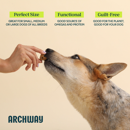 Dog being rewarded with a Skin & Coat Health functional dog treat from Archway.