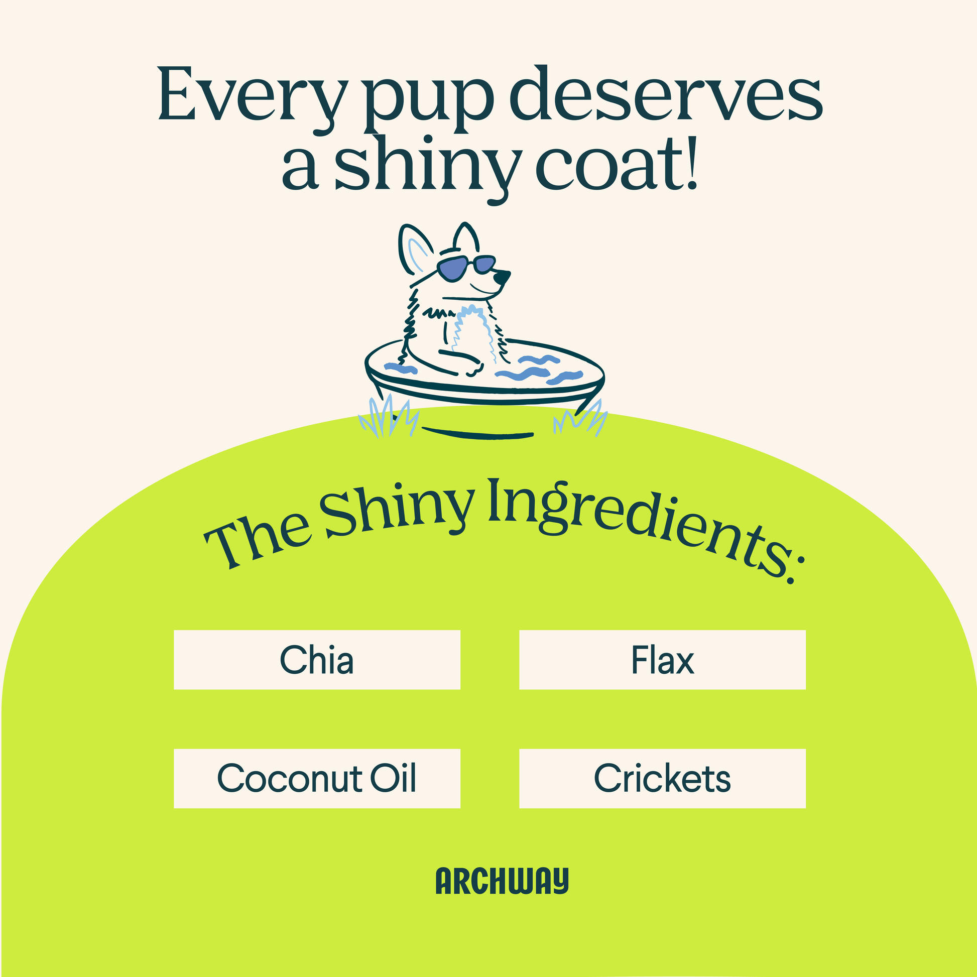 Illustration highlighting the functional ingredients in Archway Skin & Coat Health dog treats.