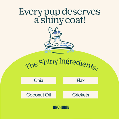 Illustration highlighting the functional ingredients in Archway Skin & Coat Health dog treats.