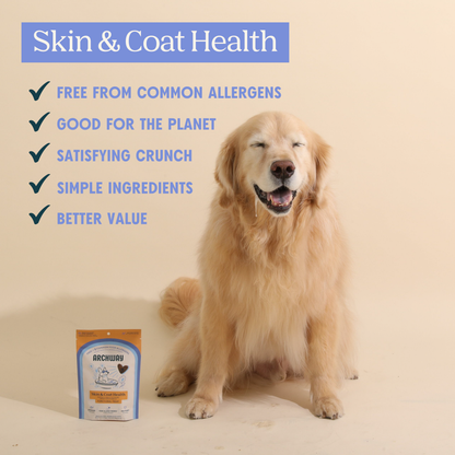 Graphic highlighting the skin and coat support benefits of Archway functional dog treats.