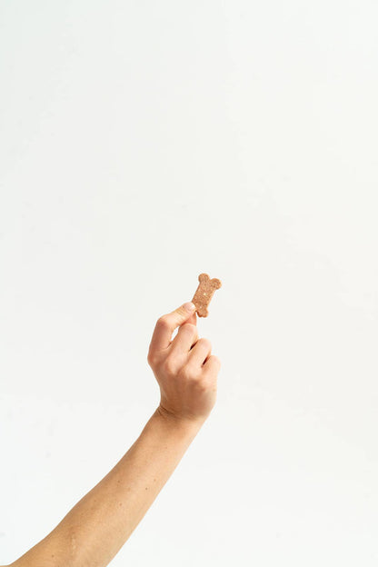 Hand holding a pink Strawberry Shortcake dog biscuit against a white background