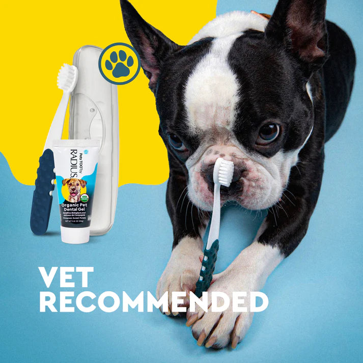 Dog using a vet-recommended canine oral care kit with toothbrush and organic dog toothpaste