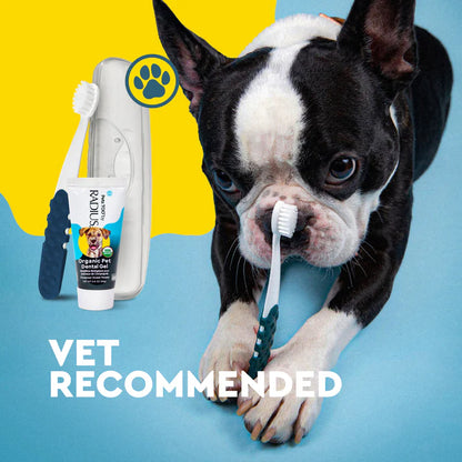 Dog using a vet-recommended canine oral care kit with toothbrush and organic dog toothpaste