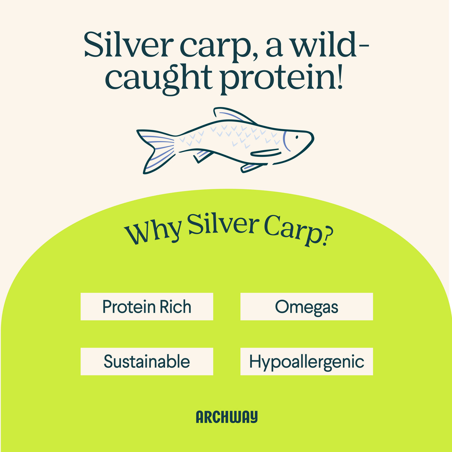 Educational graphic explaining that silver carp is a wild-caught protein used in Archway dog treats.