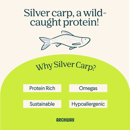 Educational graphic explaining that silver carp is a wild-caught protein used in Archway dog treats.