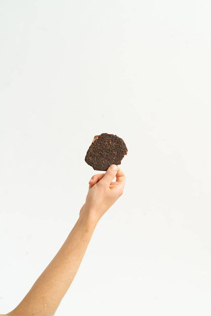 Hand holding a piece of bison jerky dog treat for training or rewarding