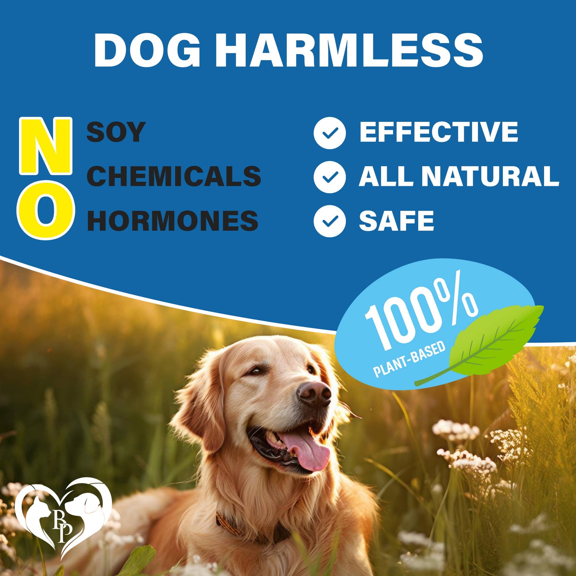 Dog happily taking Beloved Pets Flea & Tick Prevention Chew as a treat outdoors.