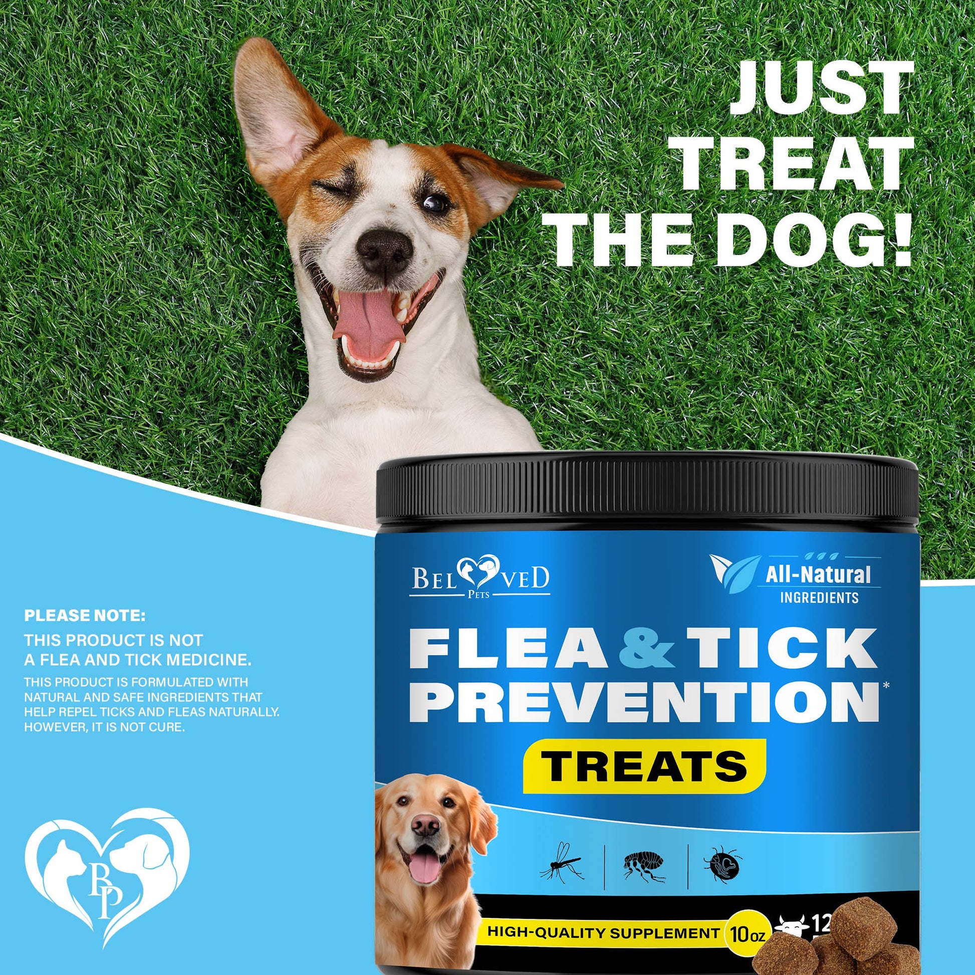 Beloved Pets Flea & Tick Chews safety card highlighting natural formulation and dog-safe ingredients.