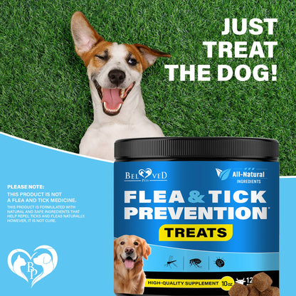 Beloved Pets Flea & Tick Chews safety card highlighting natural formulation and dog-safe ingredients.