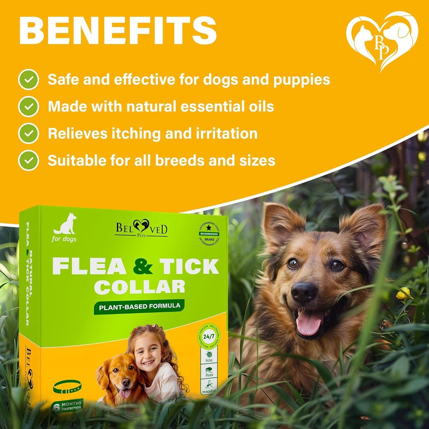Benefits of Beloved Pets Flea & Tick Collar including on-contact repellent and long-lasting protection.