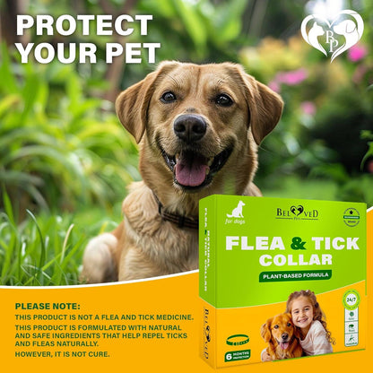 Promotional card showing dog wearing Beloved Pets Flea & Tick Collar with natural protection message.