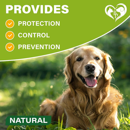 Beloved Pets Flea & Tick Collar graphic highlighting protection, coat comfort, and natural formula.
