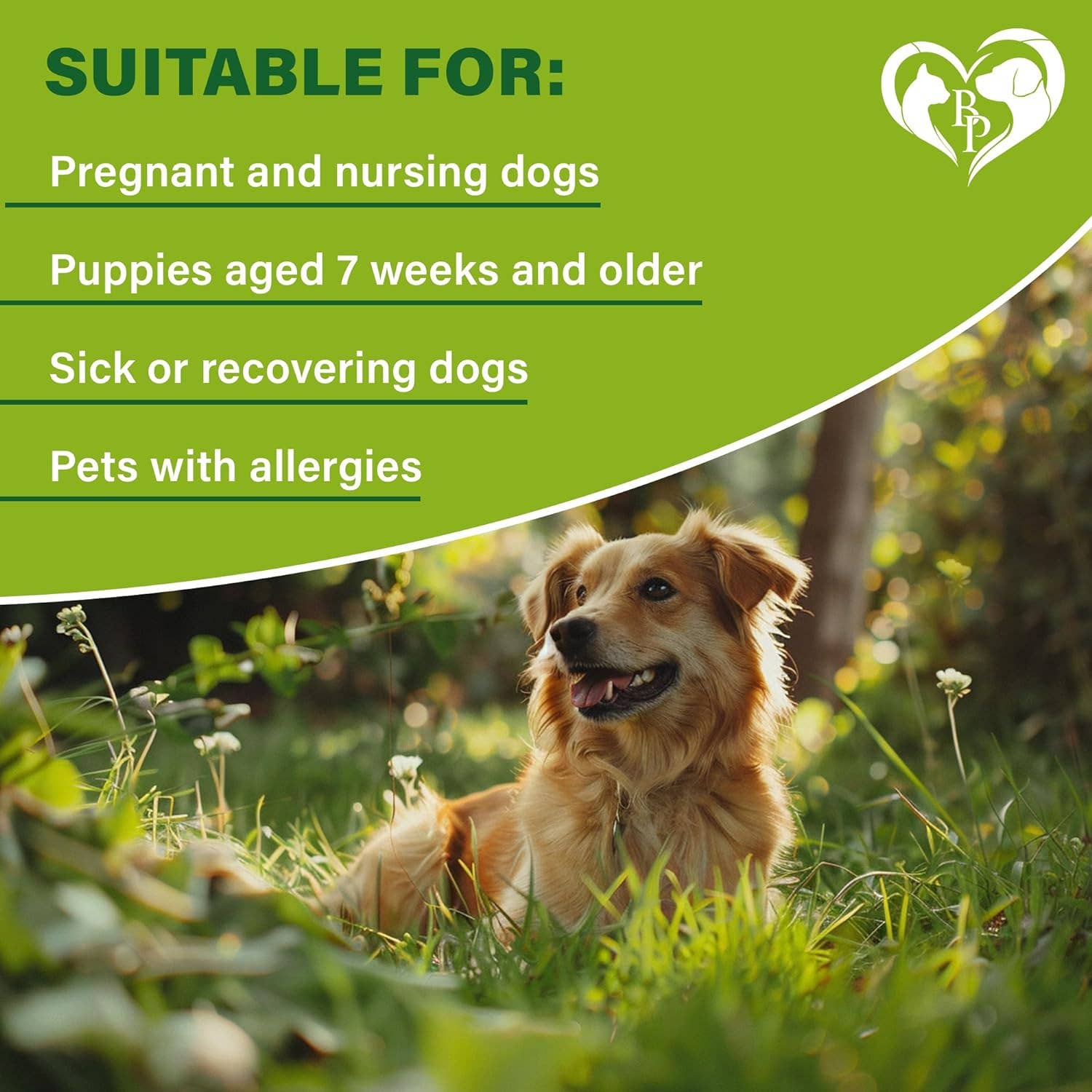 Beloved Pets Flea & Tick Collar suitability chart showing adjustable fit for small to large dogs.