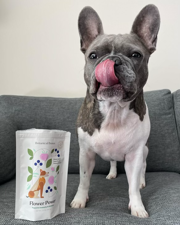 Botanical Bones Flower Power Dog Treats - Natural, Herbal Dog Treats with Flower Extracts for Longevity, Immunity, and Wellness