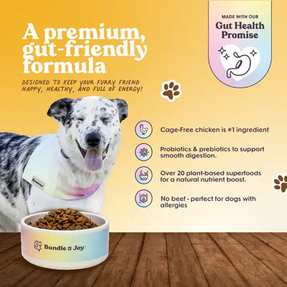 Bundle x Joy Golden Cage-Free Chicken Recipe with Superfoods packaging highlights and nutrition callouts