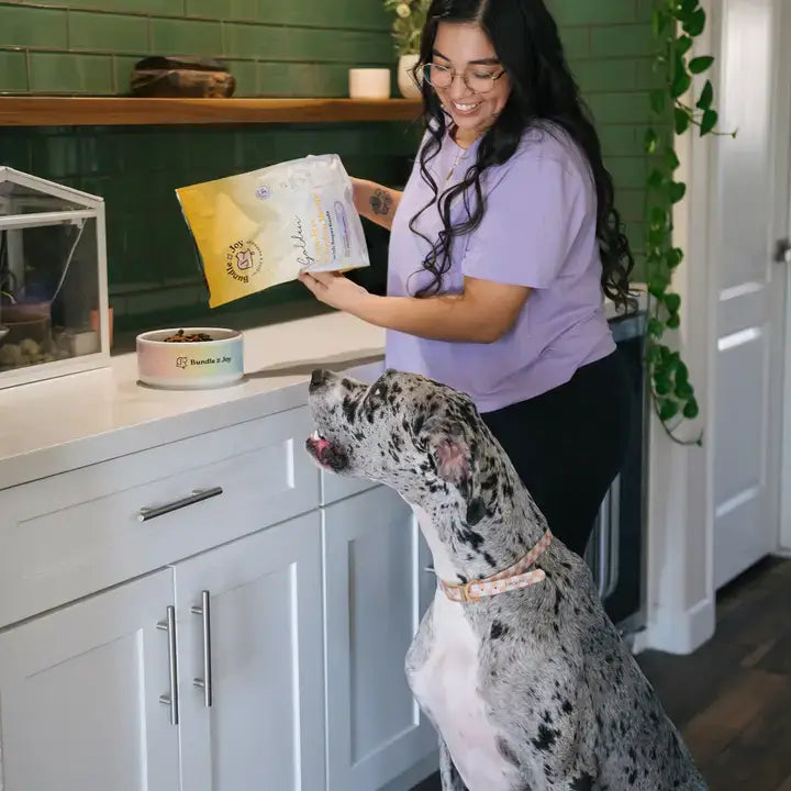 Dog being fed Bundle x Joy Golden Cage-Free Chicken Recipe in a home kitchen setting