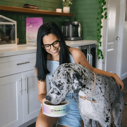 Pet owner feeding dog Bundle x Joy Brave Grass-Fed Lamb Recipe at home