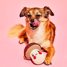 Dog playing with a natural cotton mushroom dog toy made from non-toxic cotton