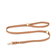 Light Brown Leash