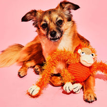 Dog lounging with an eco-friendly, organic dog toy.