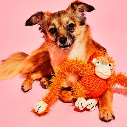 Dog lounging with an eco-friendly, organic dog toy.