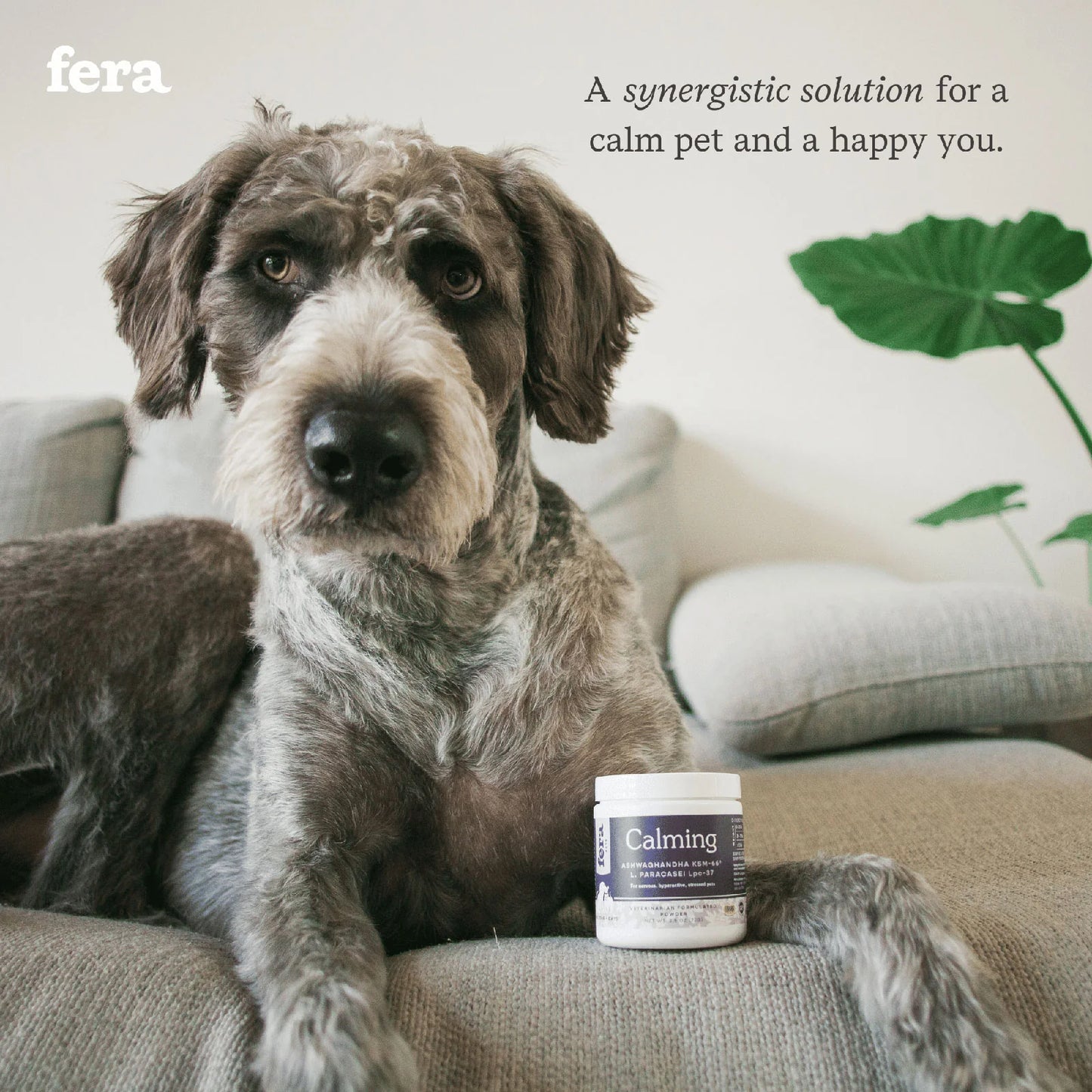 Fera Pets calming supplement for dogs, natural stress relief, anxiety support, vet-formulated pet relaxation supplement