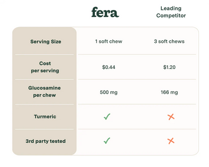 Hip & Joint Support Dog Supplement