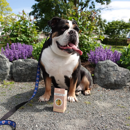 Eco-Friendly Monty's Corn Starch Poop Bags Biodegradable Dog Waste Bags