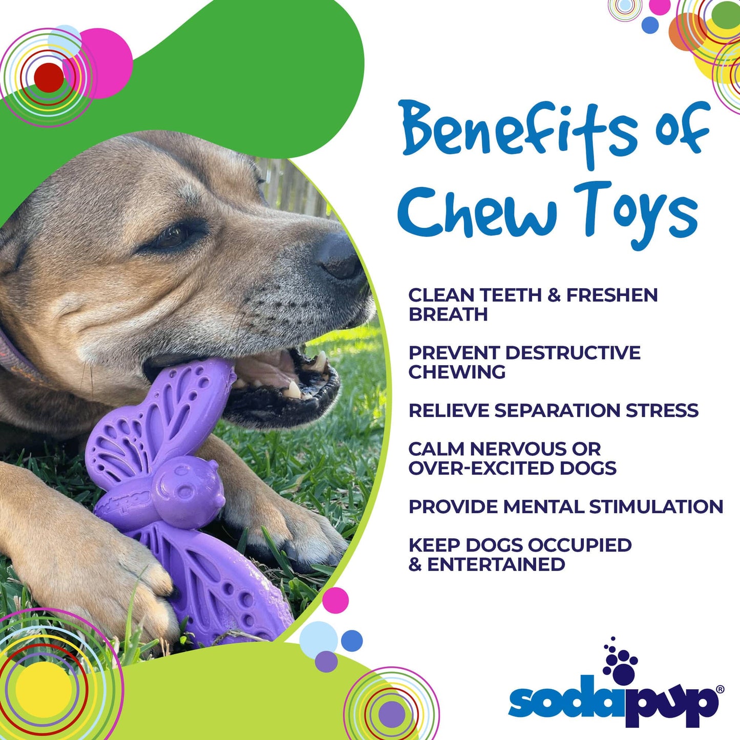 Dog chewing SodaPup Butterfly Enrichment Toy with benefits listed for heavy chewers and dental support.