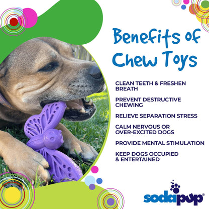 Dog chewing SodaPup Butterfly Enrichment Toy with benefits listed for heavy chewers and dental support.