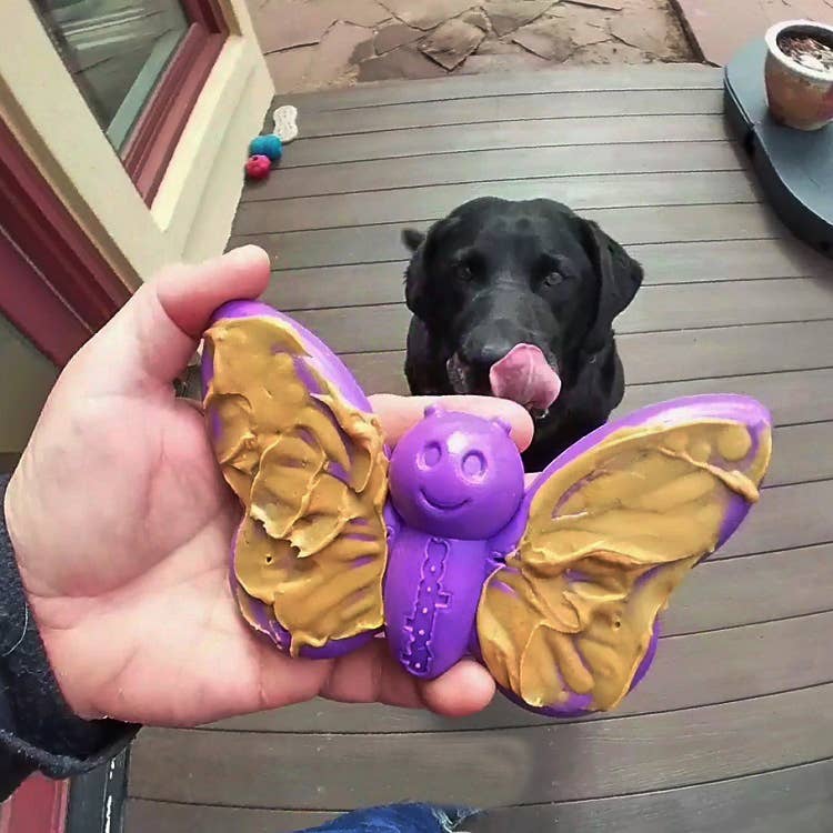 Dog playing with the SodaPup Butterfly Enrichment Chew Toy outdoors with peanut butter, designed for power chewers.