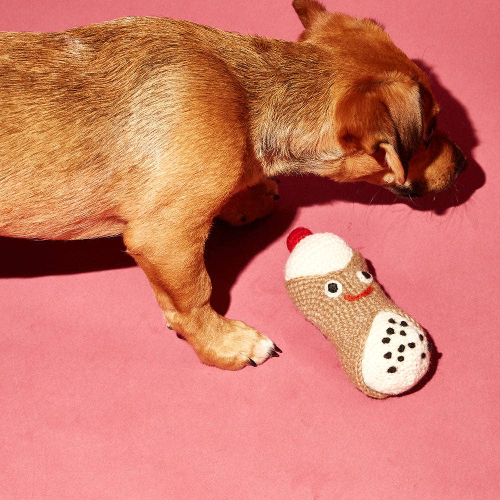 Dog enjoying the Ware of the Dog lambswool cannoli toy, a natural, non-toxic plush dog toy with a built-in squeaker for interactive play.