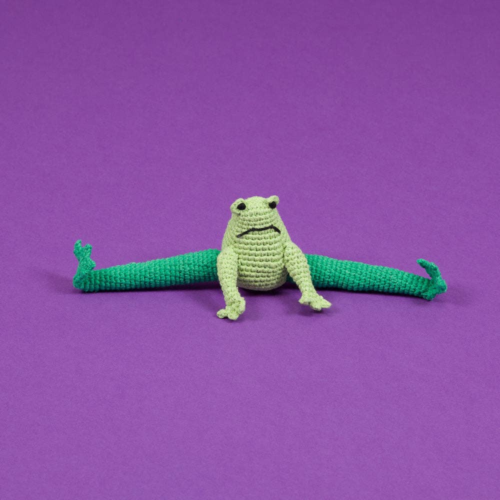 A green organic cotton frog dog toy against a purple background.